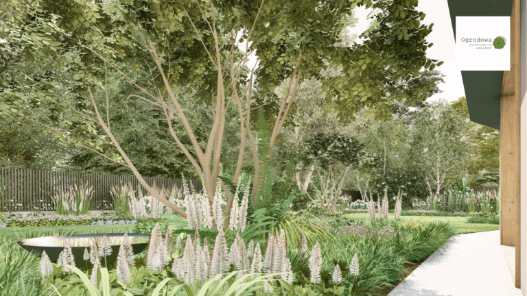 Ogród leśny w Zagaciu